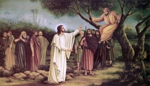 The 15th Sunday of Luke (Zacchaeus)
